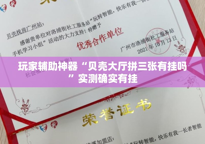玩家辅助神器“贝壳大厅拼三张有挂吗”实测确实有挂
