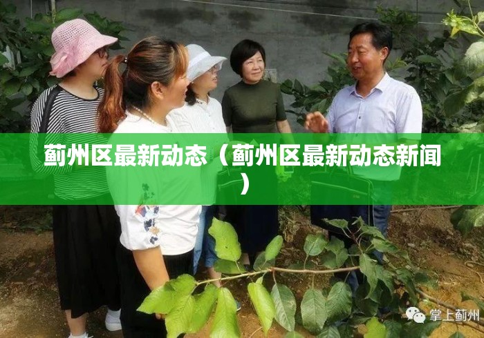 蓟州区最新动态(蓟州区最新动态新闻) 蓟州区最新动态(蓟州区最新动态新闻)