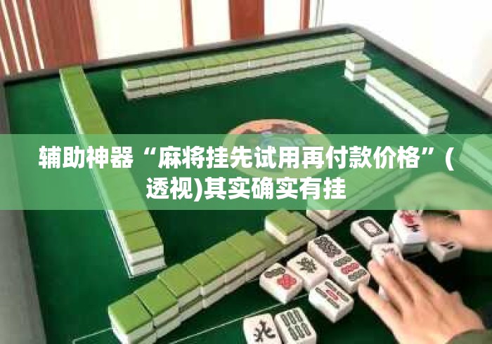 辅助神器“麻将挂先试用再付款价格”(透视)其实确实有挂