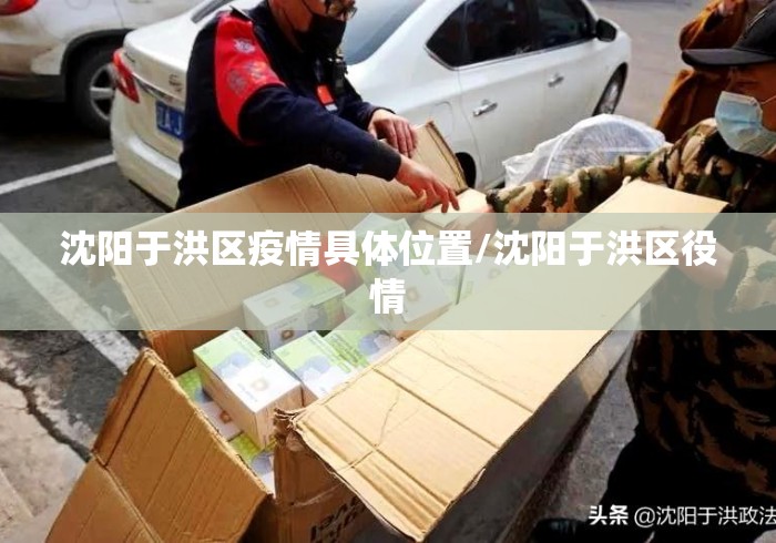沈阳于洪区疫情具体位置/沈阳于洪区役情