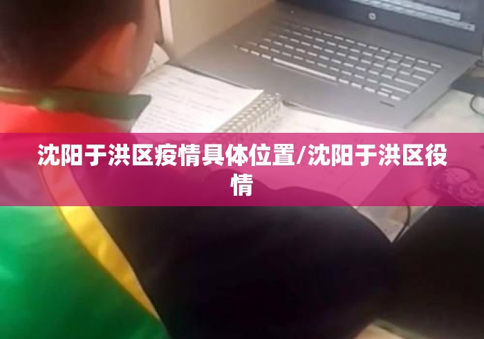 沈阳于洪区疫情具体位置/沈阳于洪区役情