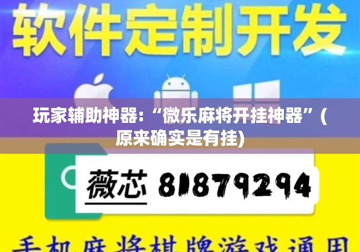玩家辅助神器:“微乐麻将开挂神器”(原来确实是有挂)