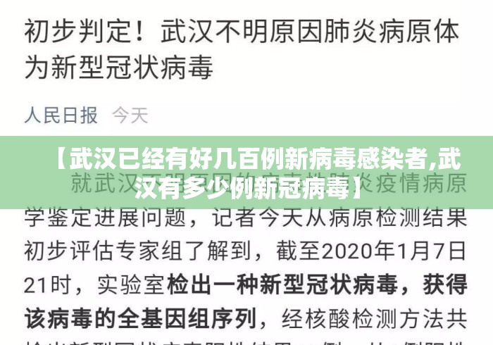 【武汉已经有好几百例新病毒感染者,武汉有多少例新冠病毒】