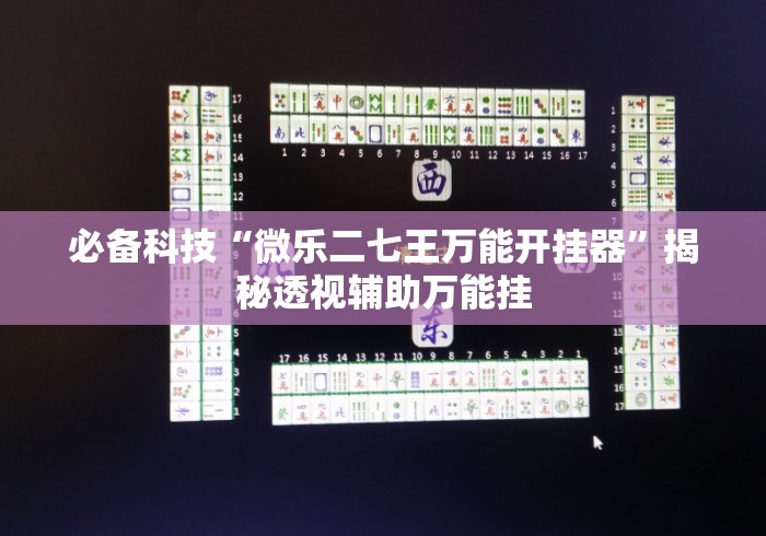 必备科技“微乐二七王万能开挂器”揭秘透视辅助万能挂