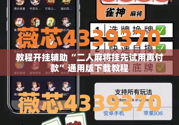 教程开挂辅助“二人麻将挂先试用再付款”通用版下载教程