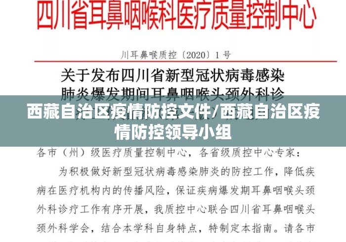 西藏自治区疫情防控文件/西藏自治区疫情防控领导小组