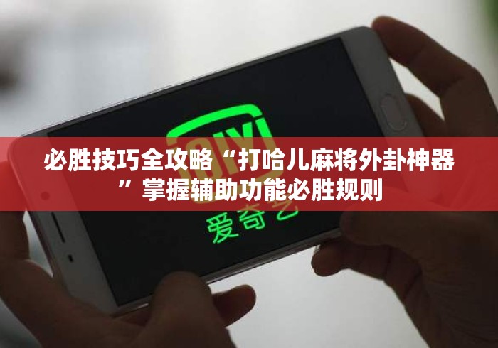 必胜技巧全攻略“打哈儿麻将外卦神器”掌握辅助功能必胜规则