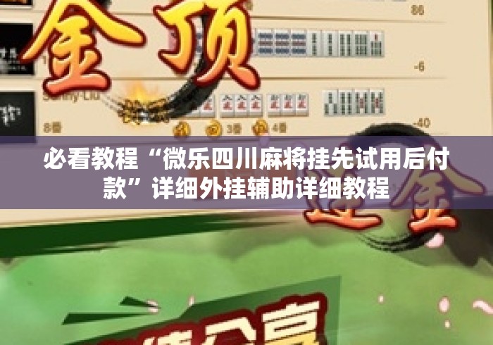 必看教程“微乐四川麻将挂先试用后付款	”详细外挂辅助详细教程