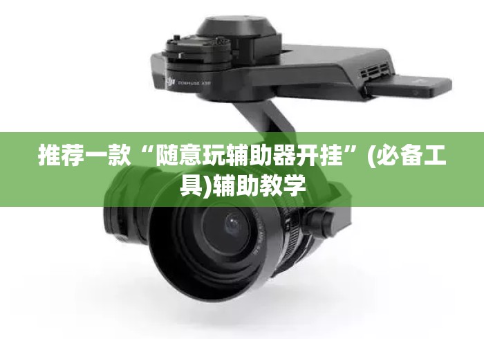 推荐一款“随意玩辅助器开挂”(必备工具)辅助教学