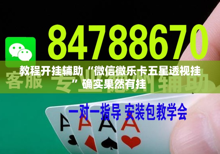 教程开挂辅助“微信微乐卡五星透视挂”确实果然有挂 