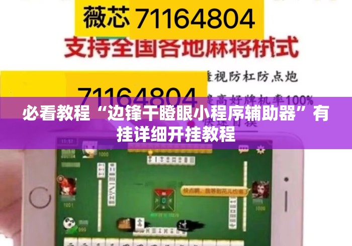 必看教程“边锋干瞪眼小程序辅助器	”有挂详细开挂教程
