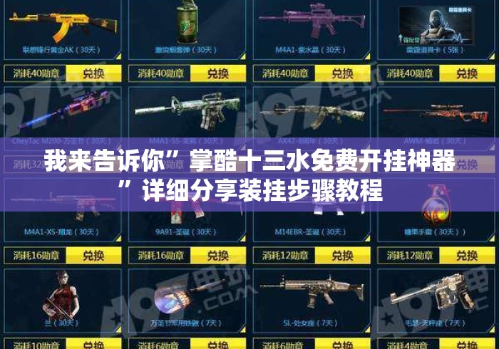 我来告诉你	”掌酷十三水免费开挂神器”详细分享装挂步骤教程