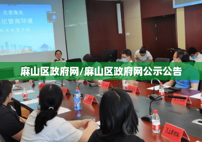 麻山区政府网/麻山区政府网公示公告 麻山区政府网/麻山区政府网公示公告