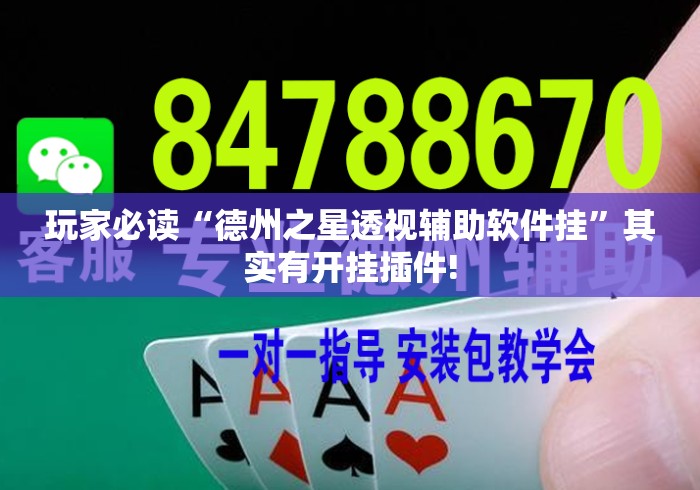 玩家必读“德州之星透视辅助软件挂”其实有开挂插件!