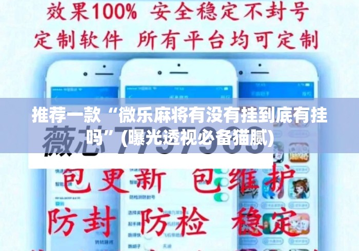 推荐一款“微乐麻将有没有挂到底有挂吗	”(曝光透视必备猫腻)