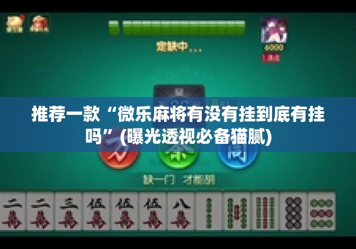 推荐一款“微乐麻将有没有挂到底有挂吗”(曝光透视必备猫腻)