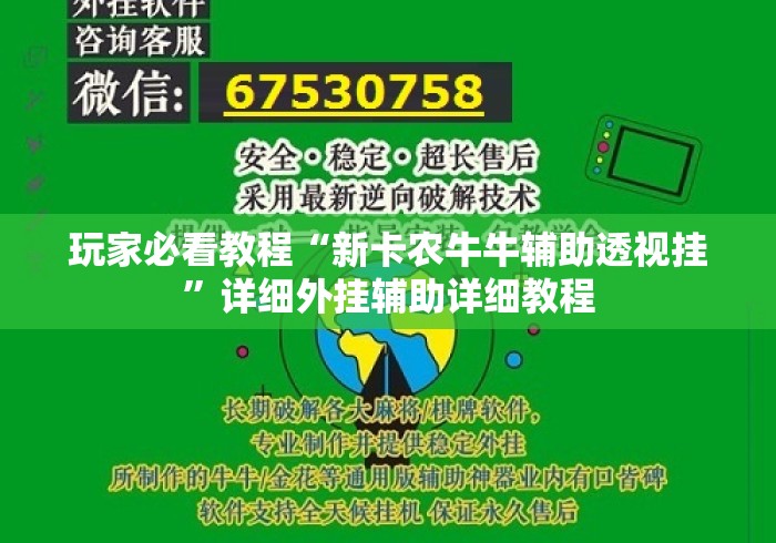 玩家必看教程“新卡农牛牛辅助透视挂”详细外挂辅助详细教程