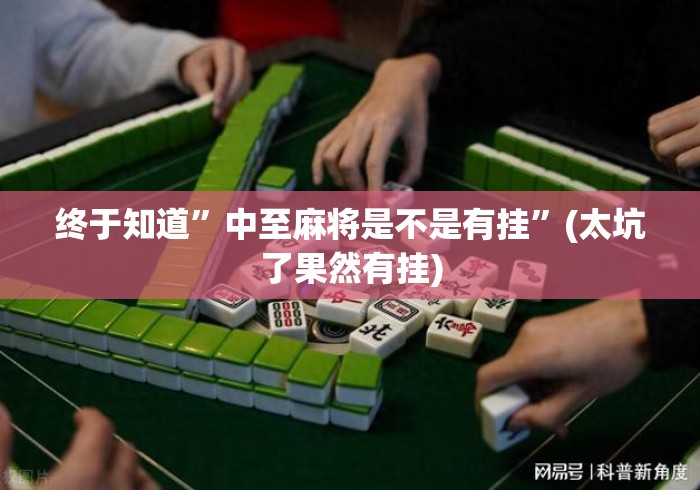 终于知道”中至麻将是不是有挂”(太坑了果然有挂)