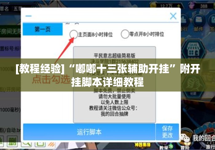[教程经验]“嘟嘟十三张辅助开挂	”附开挂脚本详细教程
