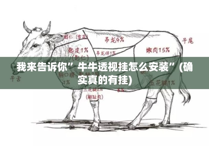 我来告诉你”牛牛透视挂怎么安装	”(确实真的有挂)