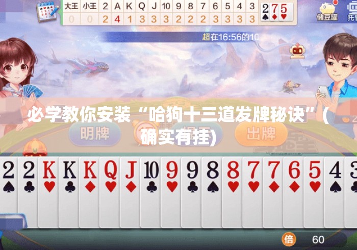 必学教你安装“哈狗十三道发牌秘诀”(确实有挂)