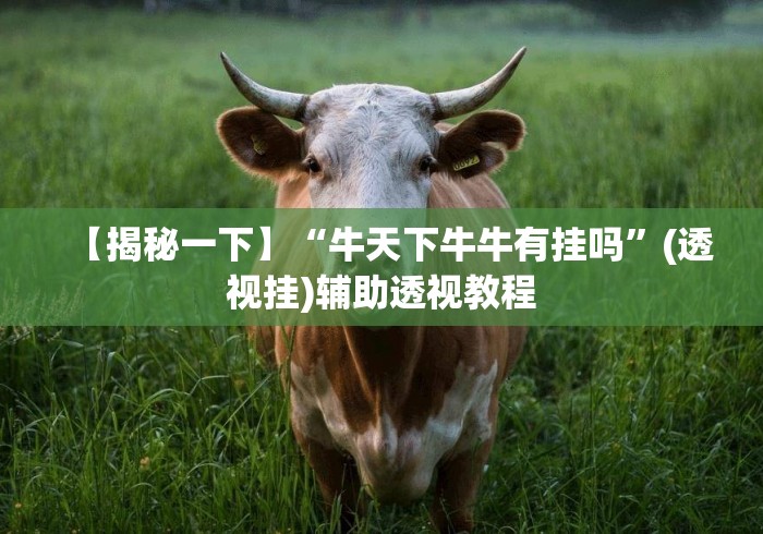 【揭秘一下】“牛天下牛牛有挂吗”(透视挂)辅助透视教程