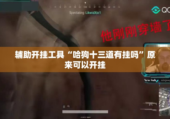 辅助开挂工具“哈狗十三道有挂吗	”原来可以开挂