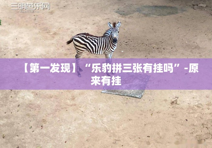 【第一发现】“乐豹拼三张有挂吗	”-原来有挂