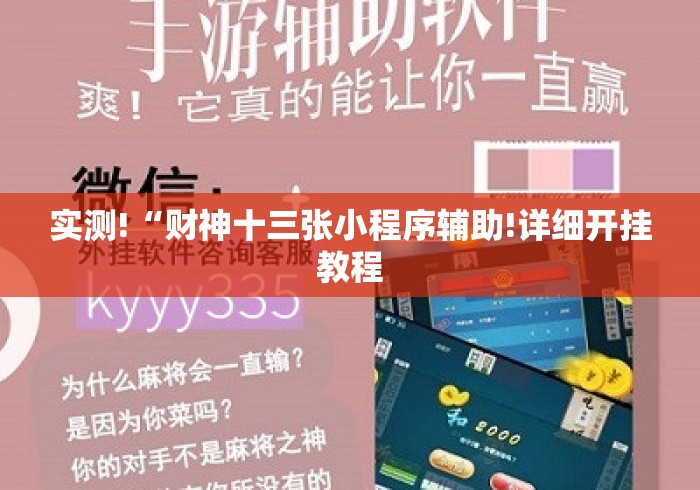 实测!“财神十三张小程序辅助!详细开挂教程