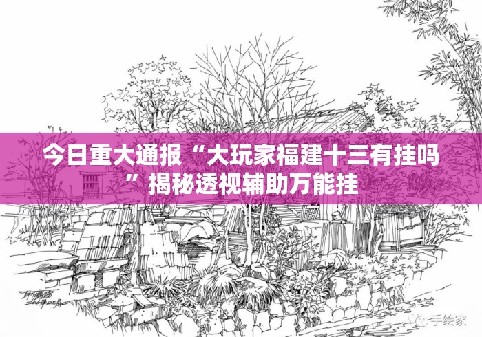 今日重大通报“大玩家福建十三有挂吗”揭秘透视辅助万能挂