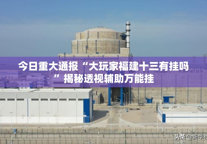 今日重大通报“大玩家福建十三有挂吗	”揭秘透视辅助万能挂