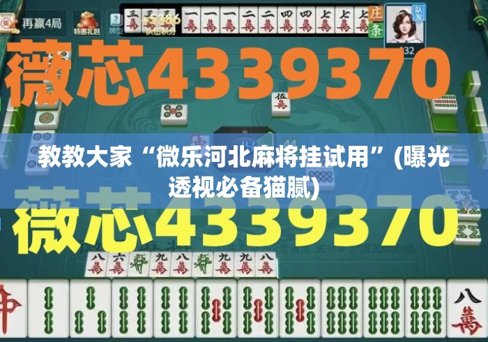 教教大家“微乐河北麻将挂试用”(曝光透视必备猫腻)