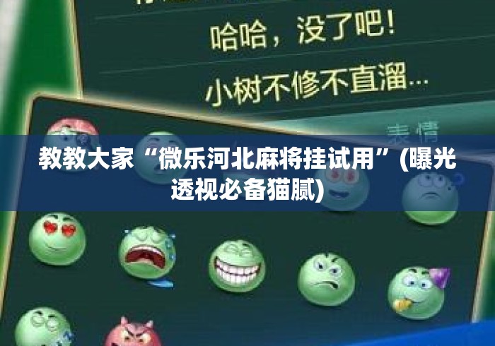 教教大家“微乐河北麻将挂试用	”(曝光透视必备猫腻)