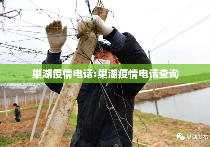 巢湖疫情电话:巢湖疫情电话查询