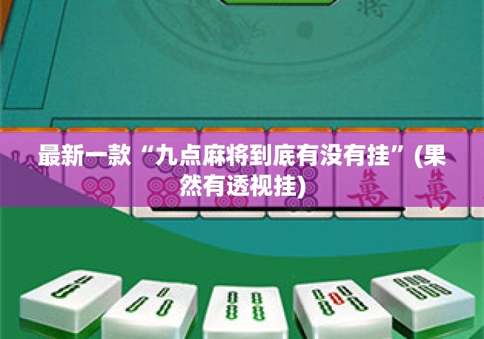 最新一款“九点麻将到底有没有挂”(果然有透视挂)