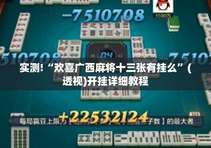 实测!“欢喜广西麻将十三张有挂么”(透视)开挂详细教程