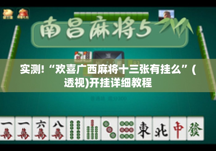 实测!“欢喜广西麻将十三张有挂么”(透视)开挂详细教程