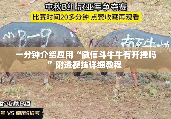 一分钟介绍应用“微信斗牛牛有开挂吗	”附透视挂详细教程 
