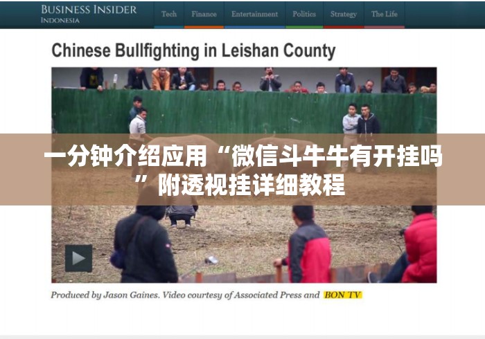 一分钟介绍应用“微信斗牛牛有开挂吗”附透视挂详细教程 