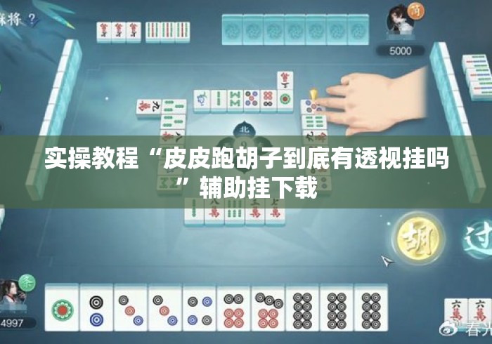 实操教程“皮皮跑胡子到底有透视挂吗”辅助挂下载