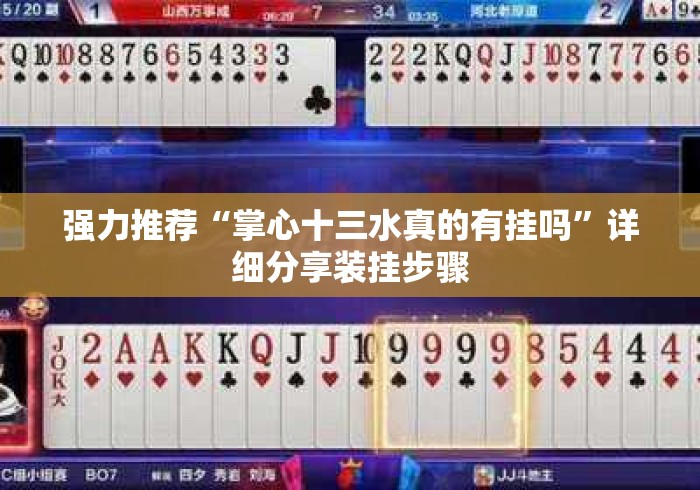 强力推荐“掌心十三水真的有挂吗	”详细分享装挂步骤