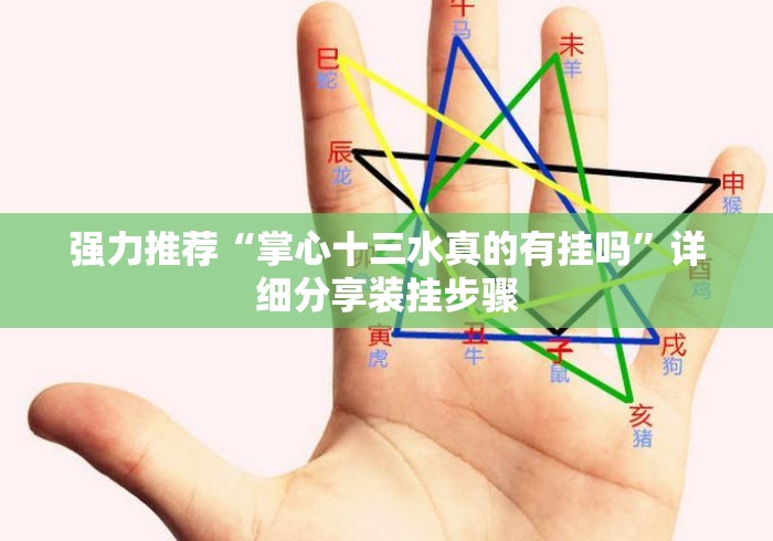 强力推荐“掌心十三水真的有挂吗”详细分享装挂步骤