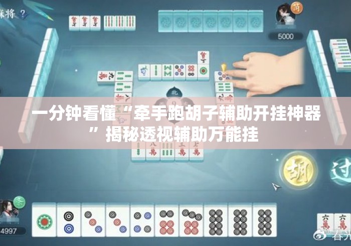 一分钟看懂“牵手跑胡子辅助开挂神器”揭秘透视辅助万能挂 