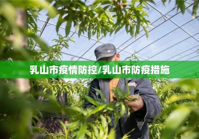 乳山市疫情防控/乳山市防疫措施