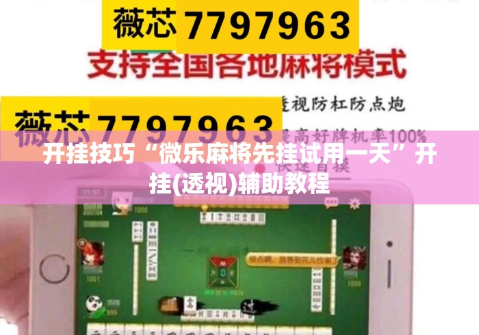 开挂技巧“微乐麻将先挂试用一天”开挂(透视)辅助教程