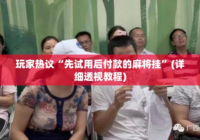 玩家热议“先试用后付款的麻将挂”(详细透视教程)