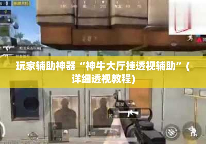 玩家辅助神器“神牛大厅挂透视辅助”(详细透视教程)