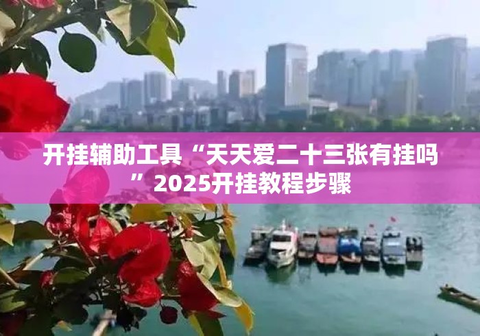 开挂辅助工具“天天爱二十三张有挂吗”2025开挂教程步骤