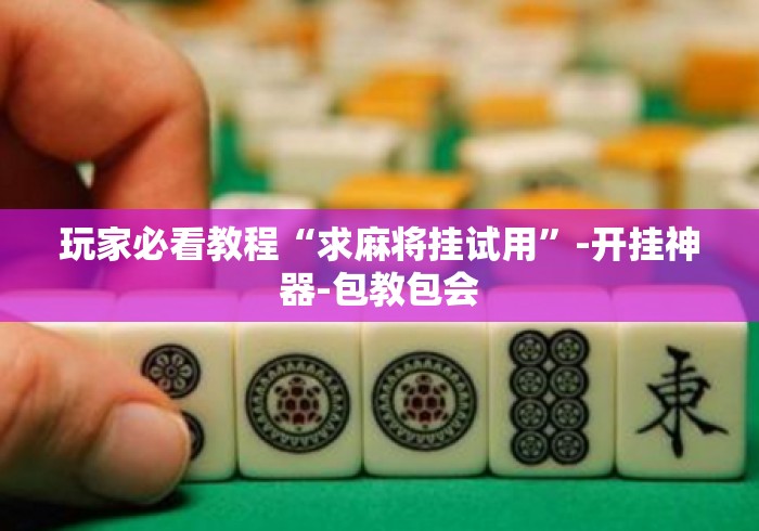 玩家必看教程“求麻将挂试用”-开挂神器-包教包会