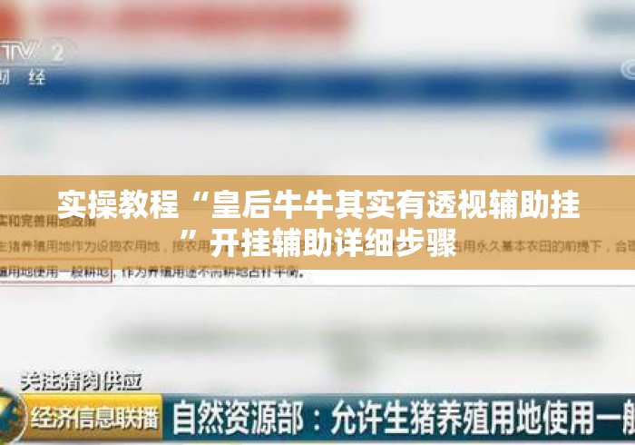 实操教程“皇后牛牛其实有透视辅助挂	”开挂辅助详细步骤